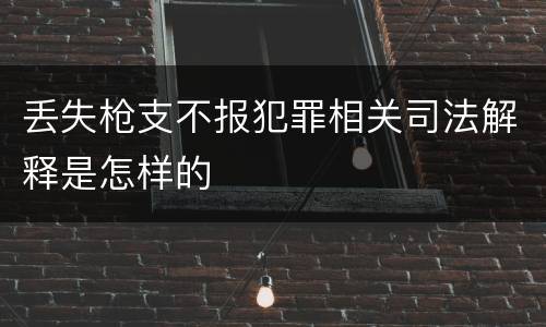 丢失枪支不报犯罪相关司法解释是怎样的