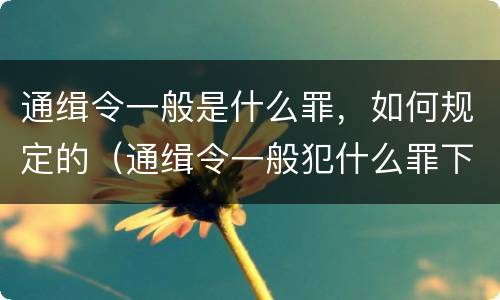 通缉令一般是什么罪，如何规定的（通缉令一般犯什么罪下达）