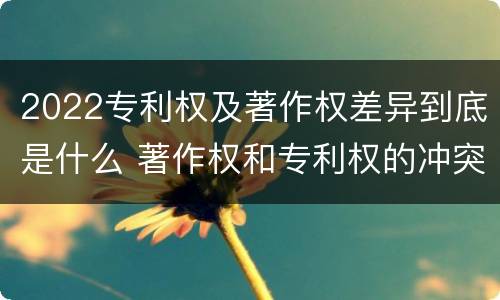 2022专利权及著作权差异到底是什么 著作权和专利权的冲突