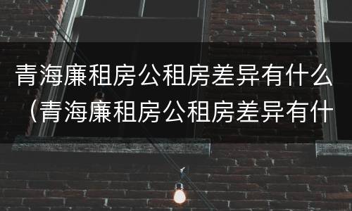 青海廉租房公租房差异有什么（青海廉租房公租房差异有什么区别）