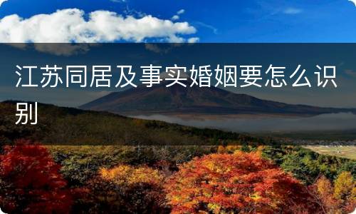 江苏同居及事实婚姻要怎么识别