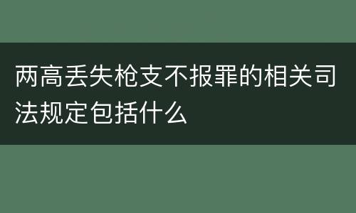 两高丢失枪支不报罪的相关司法规定包括什么