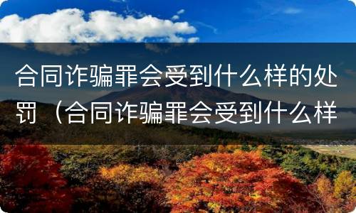 合同诈骗罪会受到什么样的处罚（合同诈骗罪会受到什么样的处罚呢）