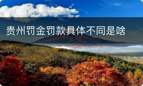 贵州罚金罚款具体不同是啥