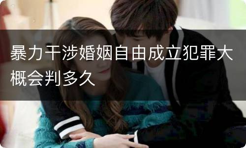 暴力干涉婚姻自由成立犯罪大概会判多久