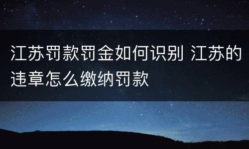 江苏罚款罚金如何识别 江苏的违章怎么缴纳罚款