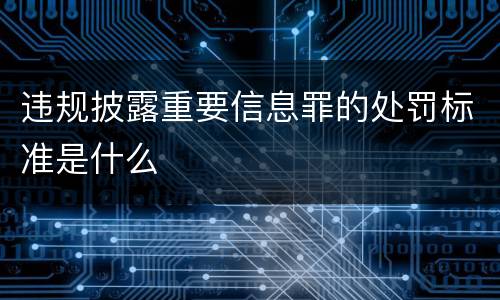 违规披露重要信息罪的处罚标准是什么