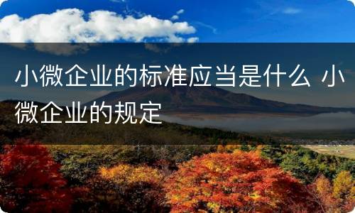 小微企业的标准应当是什么 小微企业的规定