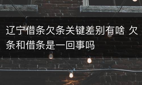 辽宁借条欠条关键差别有啥 欠条和借条是一回事吗