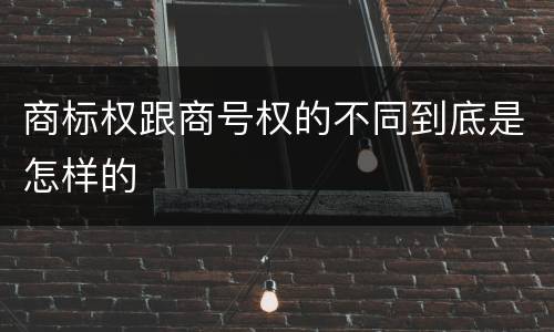 商标权跟商号权的不同到底是怎样的