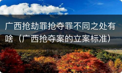 广西抢劫罪抢夺罪不同之处有啥（广西抢夺案的立案标准）