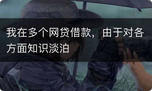 我在多个网贷借款，由于对各方面知识淡泊