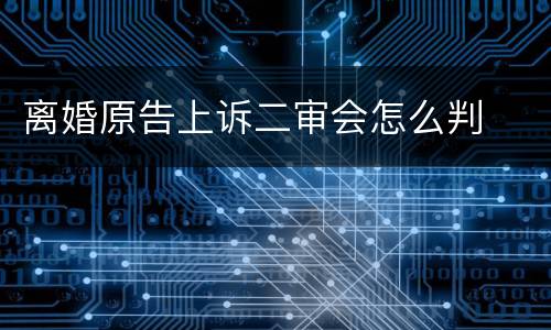 离婚原告上诉二审会怎么判