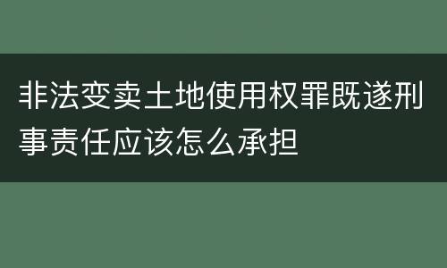 非法变卖土地使用权罪既遂刑事责任应该怎么承担
