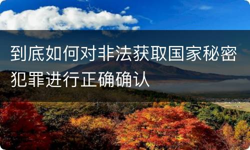 到底如何对非法获取国家秘密犯罪进行正确确认