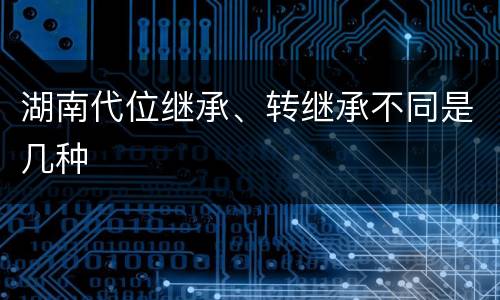 湖南代位继承、转继承不同是几种