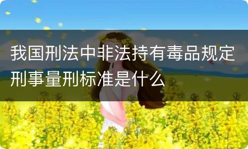 我国刑法中非法持有毒品规定刑事量刑标准是什么