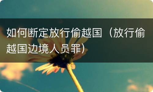 如何断定放行偷越国（放行偷越国边境人员罪）