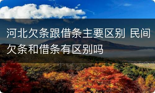 河北欠条跟借条主要区别 民间欠条和借条有区别吗