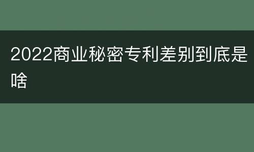 2022商业秘密专利差别到底是啥