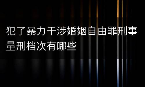 犯了暴力干涉婚姻自由罪刑事量刑档次有哪些