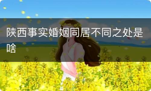 陕西事实婚姻同居不同之处是啥