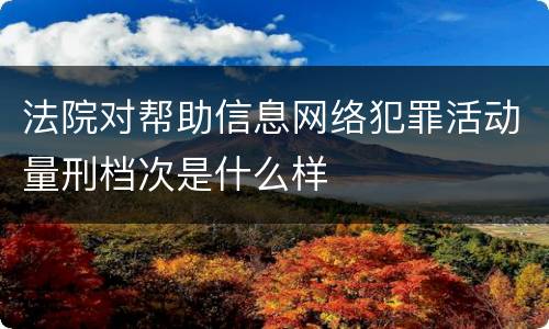 法院对帮助信息网络犯罪活动量刑档次是什么样