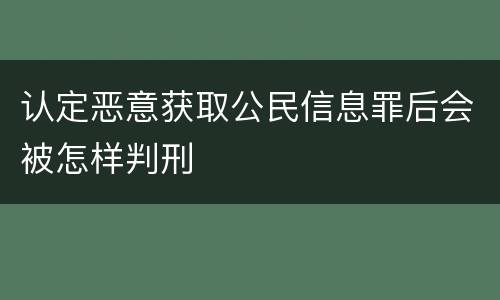 认定恶意获取公民信息罪后会被怎样判刑