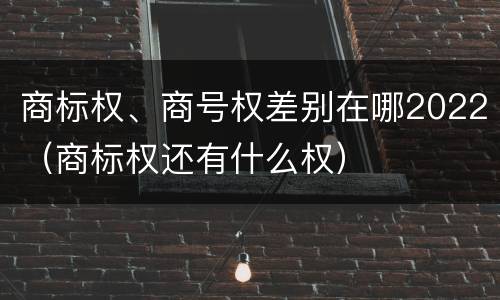 商标权、商号权差别在哪2022（商标权还有什么权）