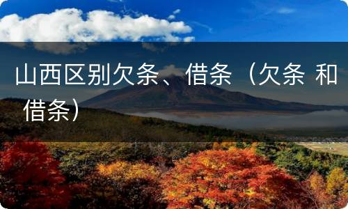 山西区别欠条、借条（欠条 和 借条）