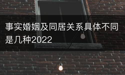 事实婚姻及同居关系具体不同是几种2022