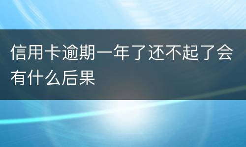 信用卡逾期一年了还不起了会有什么后果