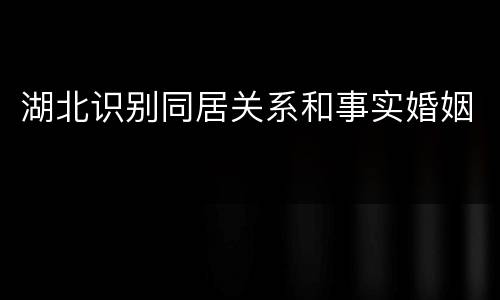 湖北识别同居关系和事实婚姻