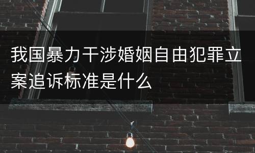 我国暴力干涉婚姻自由犯罪立案追诉标准是什么