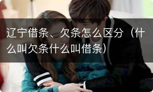 辽宁借条、欠条怎么区分（什么叫欠条什么叫借条）