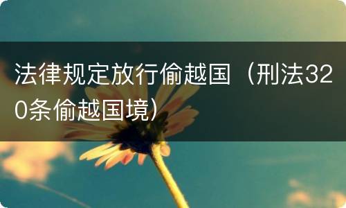 法律规定放行偷越国（刑法320条偷越国境）