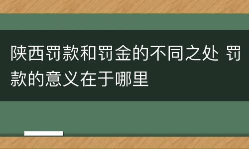 陕西罚款和罚金的不同之处 罚款的意义在于哪里