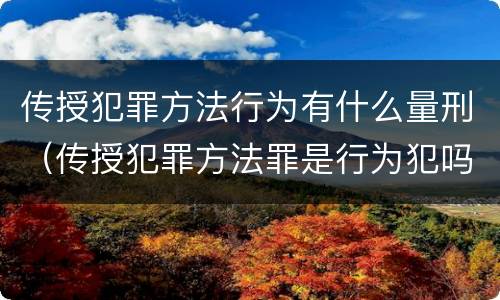 传授犯罪方法行为有什么量刑（传授犯罪方法罪是行为犯吗）