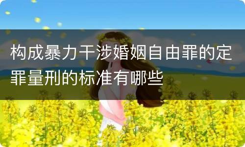 构成暴力干涉婚姻自由罪的定罪量刑的标准有哪些