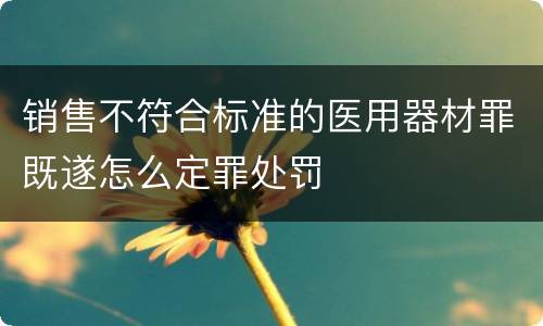 销售不符合标准的医用器材罪既遂怎么定罪处罚