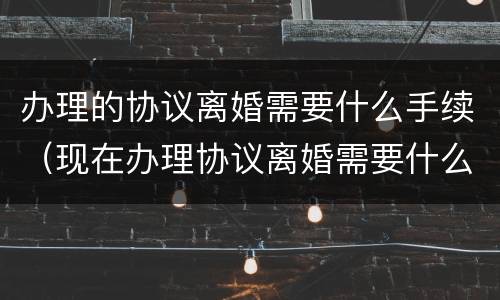 办理的协议离婚需要什么手续（现在办理协议离婚需要什么手续）