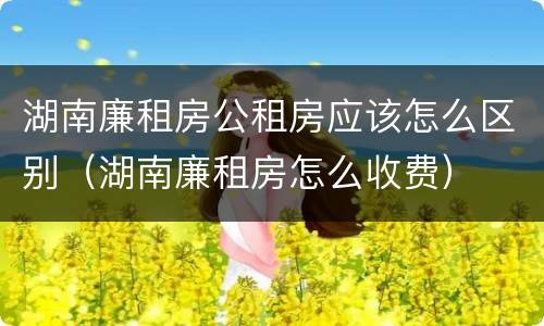 湖南廉租房公租房应该怎么区别（湖南廉租房怎么收费）