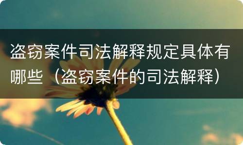 盗窃案件司法解释规定具体有哪些（盗窃案件的司法解释）