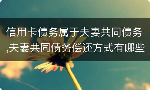 信用卡债务属于夫妻共同债务,夫妻共同债务偿还方式有哪些吗