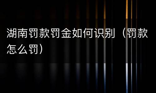 湖南罚款罚金如何识别（罚款怎么罚）