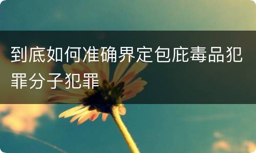 到底如何准确界定包庇毒品犯罪分子犯罪