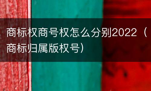 商标权商号权怎么分别2022（商标归属版权号）
