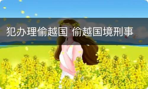 犯办理偷越国 偷越国境刑事