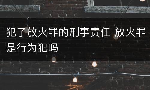 犯了放火罪的刑事责任 放火罪是行为犯吗