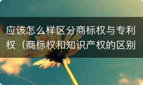 应该怎么样区分商标权与专利权(商标权和知识产权的区别)